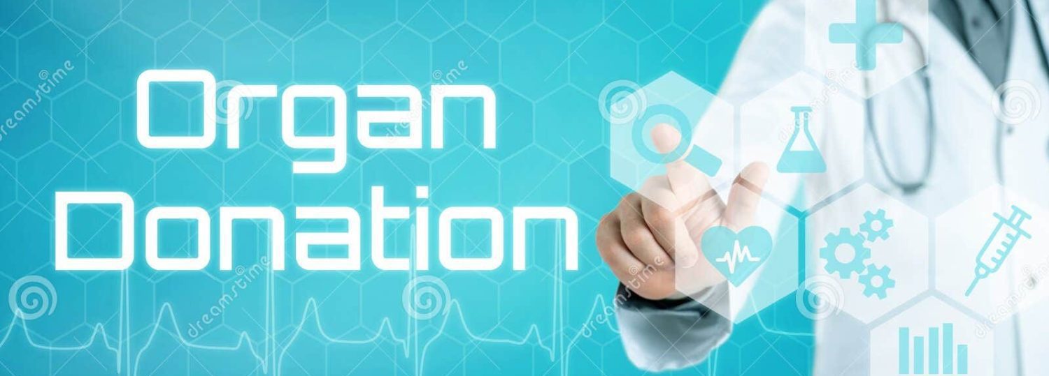 Tissue Bank Prosthetics for Organ Donation