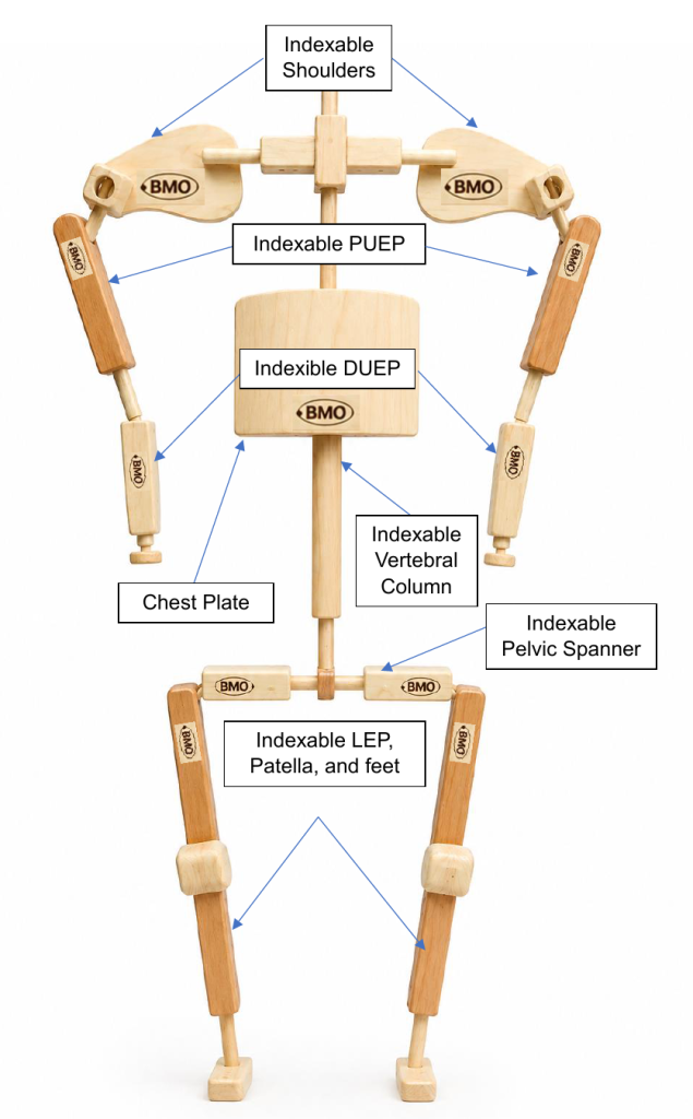 Tissue Bank Prosthetics Anotated Skeleton for view on how everything fits together. Wedge Fixator prosthetics